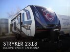 Thumbnail Photo 100 for 2020 Cruiser Stryker